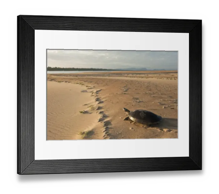 Framed Print : South America, Venezuela Framed Print : South America, Venezuela