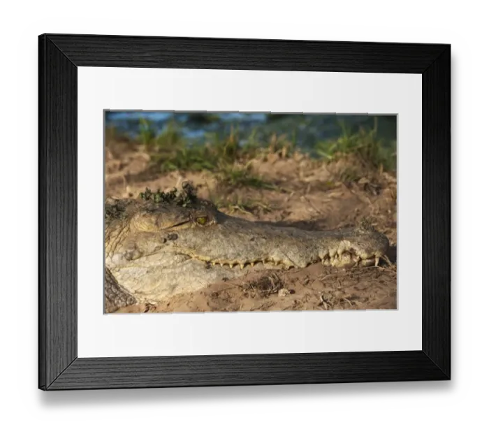 Framed Print : South America, Venezuela Framed Print : South America, Venezuela