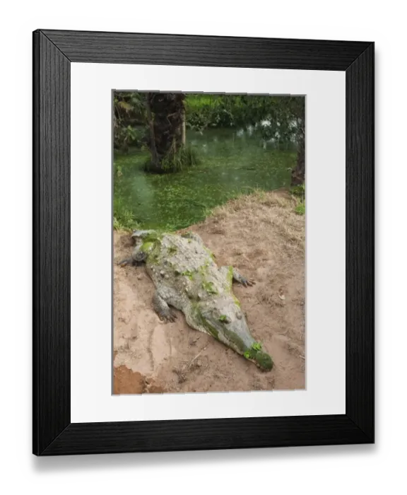 Framed Print : South America, Venezuela Framed Print : South America, Venezuela