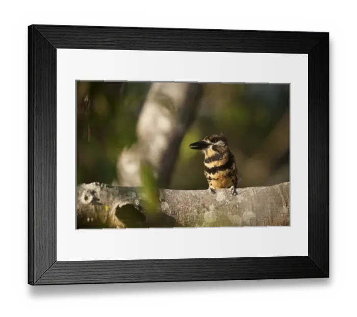 Framed Print : South America, Venezuela Framed Print : South America, Venezuela
