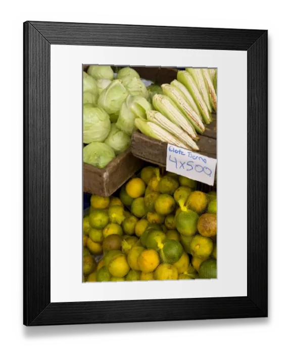 Framed Print : Central America, Costa Rica