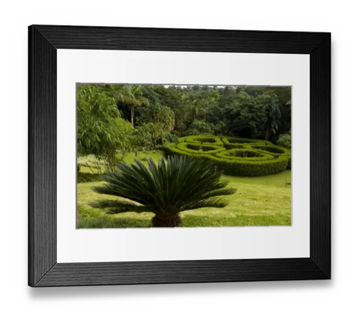 Framed Print : Central America, Costa Rica Framed Print : Central America, Costa Rica