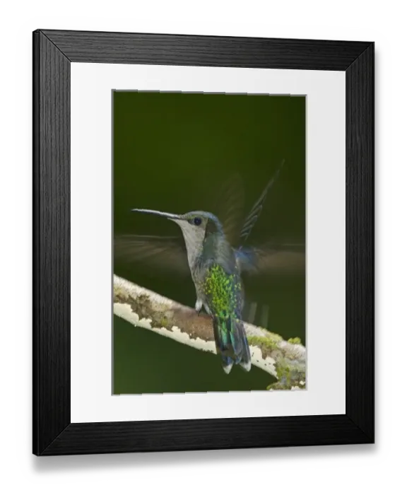 Framed Print : Central America, Costa Rica Framed Print : Central America, Costa Rica