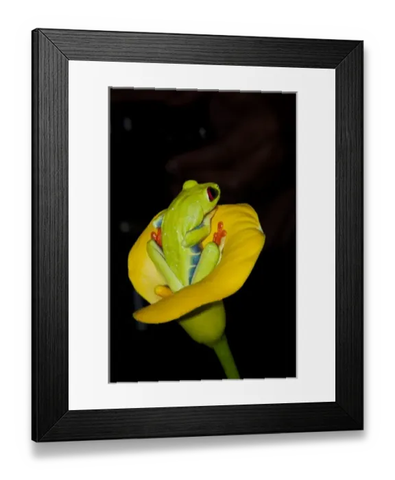 Framed Print : Central America, Costa Rica Framed Print : Central America, Costa Rica