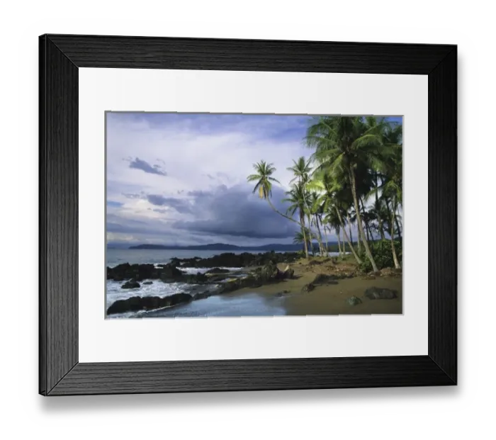 Framed Print : Palms on the beach at Drake Bay, Corcovado National Park, Osa Peninsula, Costa Rica Framed Print : Palms on the beach at Drake Bay, Corcovado National Park, Osa Peninsula, Costa Rica