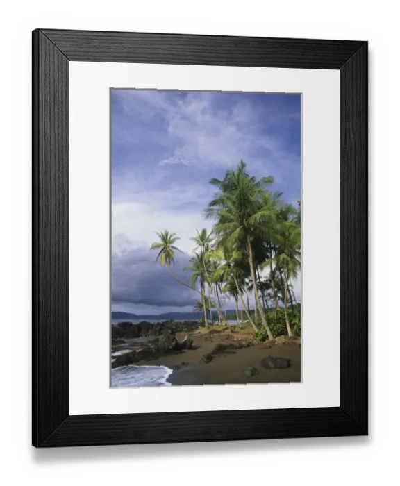 Framed Print : Palms on the beach at Drake Bay, Corcovado National Park, Osa Peninsula, Costa Rica