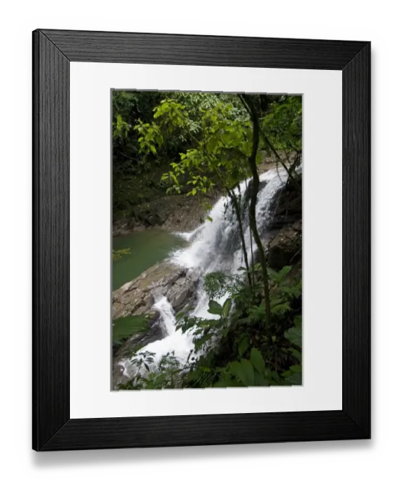 Framed Print : Puma Waterfall in the Veragua Rainforest Research and Adventure Park near Limon, Costa Rica Framed Print : Puma Waterfall in the Veragua Rainforest Research and Adventure Park near Limon, Costa Rica