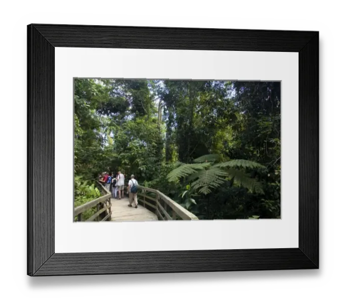 Framed Print : Tourists at the Veragua Rainforest Research and Adventure Park near Limon, Costa Rica Framed Print : Tourists at the Veragua Rainforest Research and Adventure Park near Limon, Costa Rica