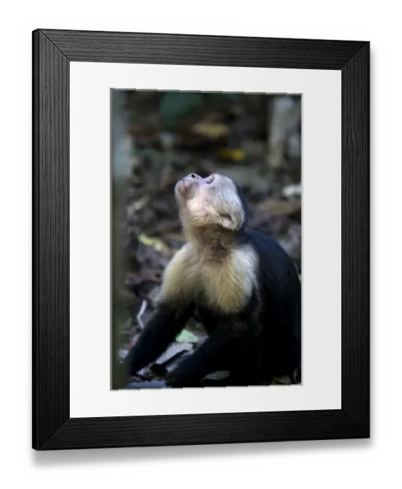 Framed Print : Central America, Costa Rica