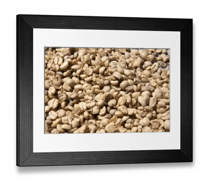 Framed Print : Central America, Costa Rica Framed Print : Central America, Costa Rica