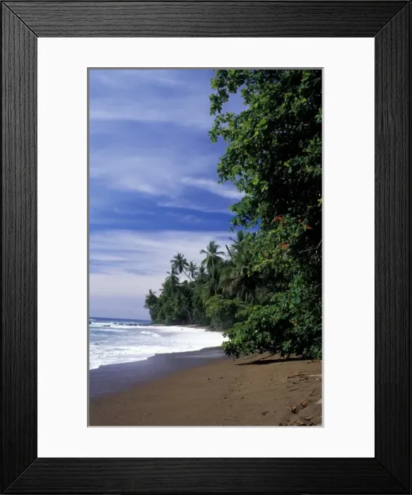Framed Print : Central America, Costa Rica, Osa Penin, Corcovado National Park. Palm-lined beach Framed Print : Central America, Costa Rica, Osa Penin, Corcovado National Park. Palm-lined beach