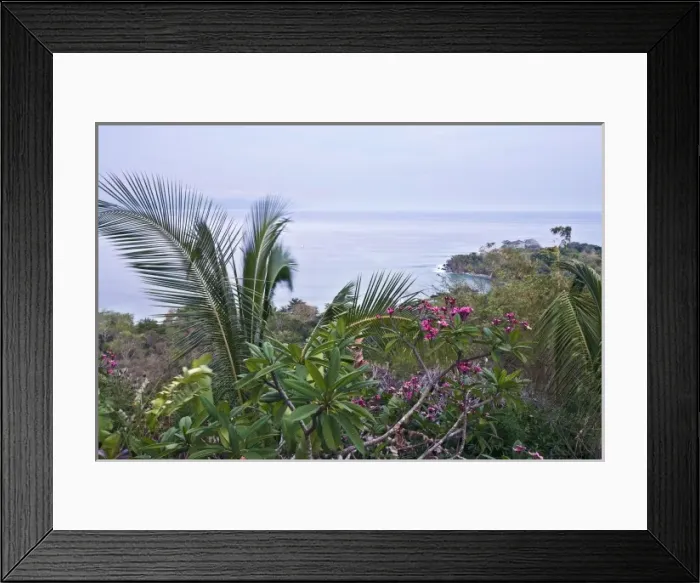 Framed Print : Tropical foliage and ocean views along the wildlife rich coastline of the Osa peninsula