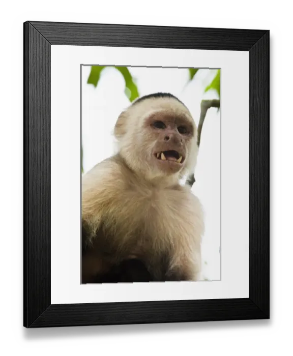 Framed Print : Central America, Costa Rica