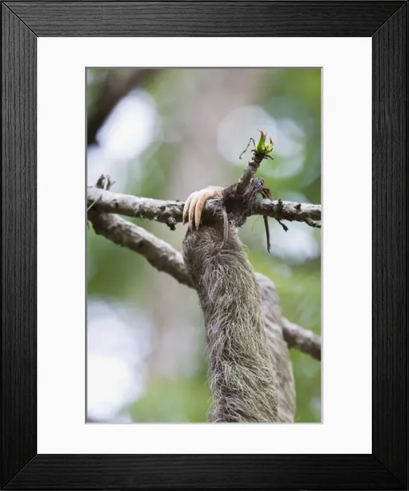 Framed Print : Central America, Costa Rica
