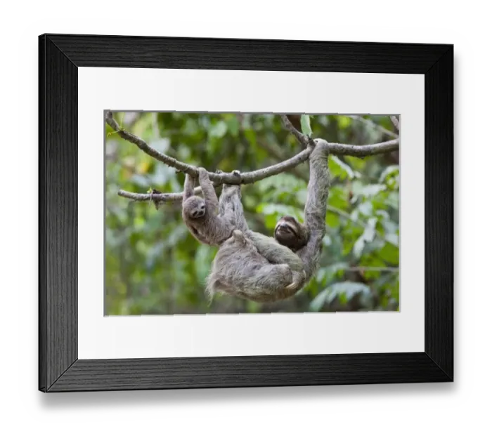 Framed Print : Central America, Costa Rica
