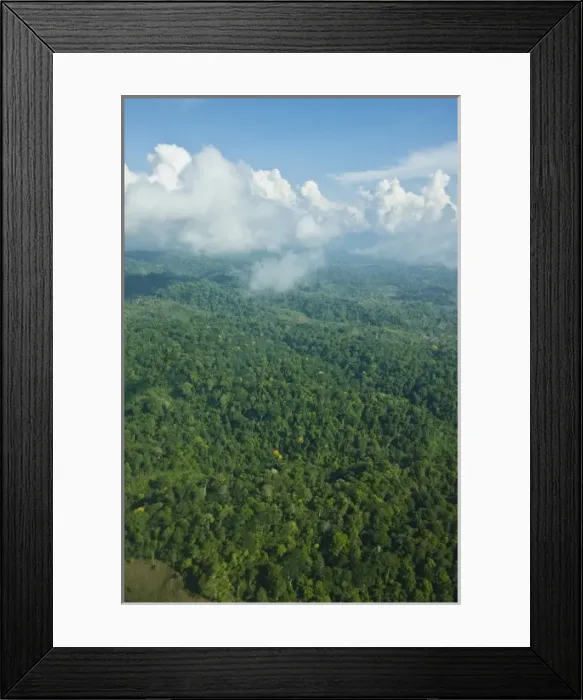 Framed Print : Aerial view of the jungle canopy in the heart of Corcovado National Park, Costa Rica