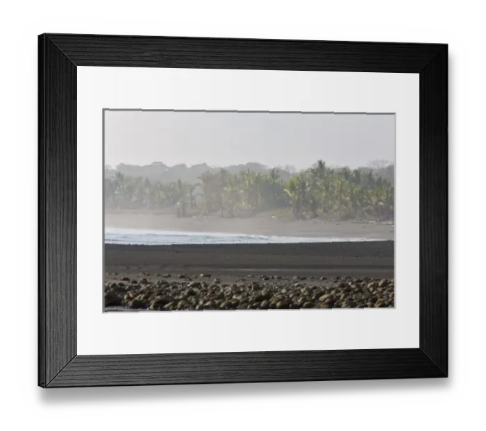 Framed Print : Lowland rainforest skirts the edge of a sandy beach along Corcovado National Park Framed Print : Lowland rainforest skirts the edge of a sandy beach along Corcovado National Park