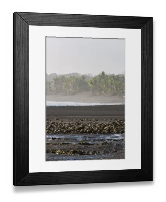 Framed Print : Lowland rainforest skirts the edge of a sandy beach along Corcovado National Park Framed Print : Lowland rainforest skirts the edge of a sandy beach along Corcovado National Park