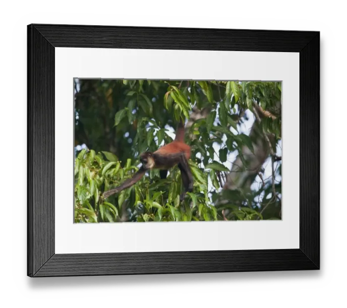 Framed Print : Central America, Costa Rica