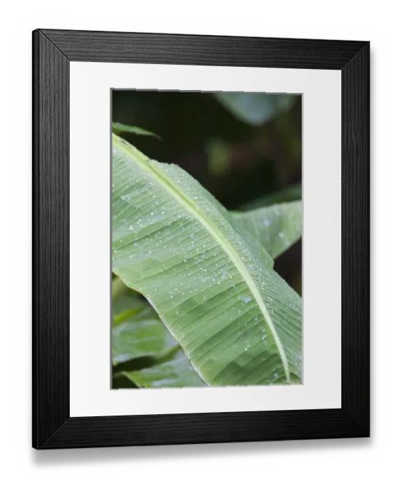 Framed Print : Central America, Costa Rica