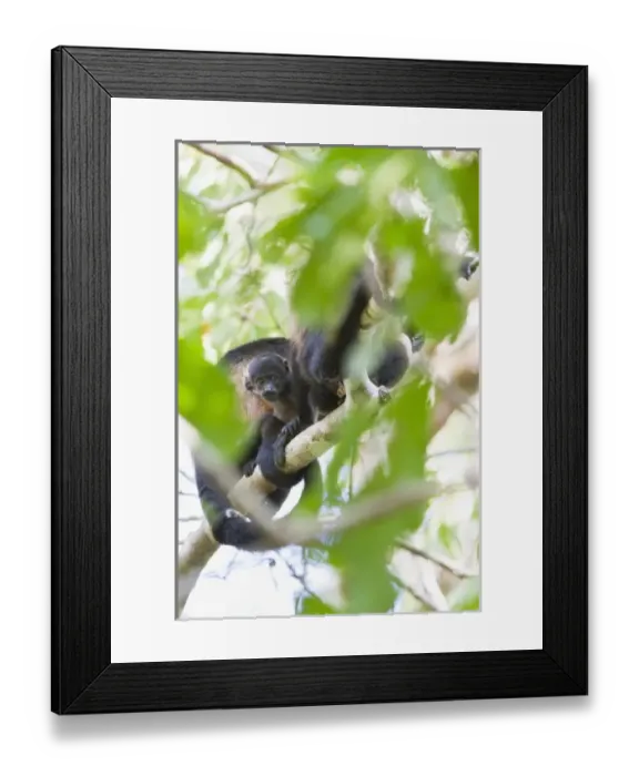 Framed Print : Central America, Costa Rica
