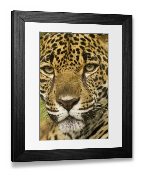 Framed Print : Central America, Costa Rica
