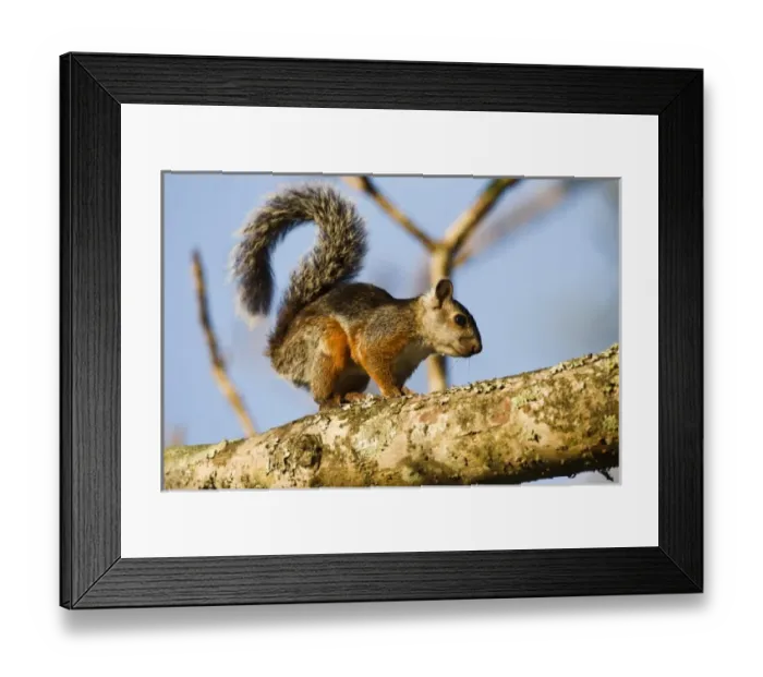 Framed Print : Central America, Costa Rica Framed Print : Central America, Costa Rica