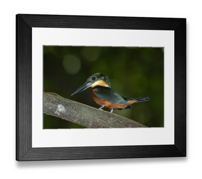 Framed Print : Central America, Costa Rica Framed Print : Central America, Costa Rica