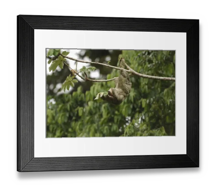 Framed Print : Central America, Costa Rica Framed Print : Central America, Costa Rica