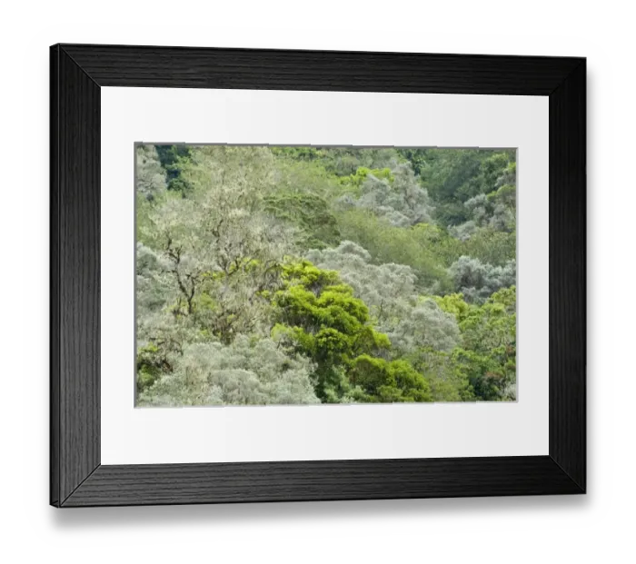 Framed Print : Central America, Costa Rica Framed Print : Central America, Costa Rica