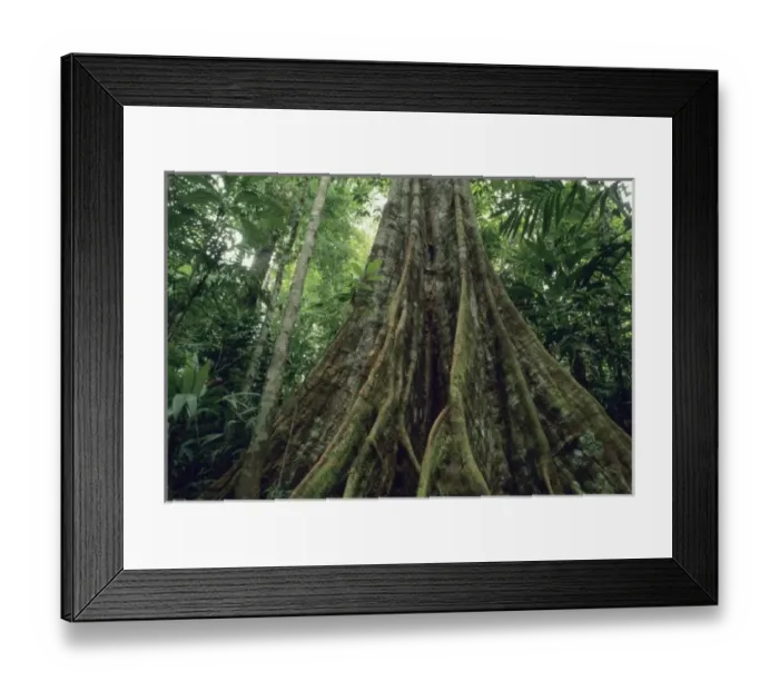 Framed Print : Central America, Costa Rica