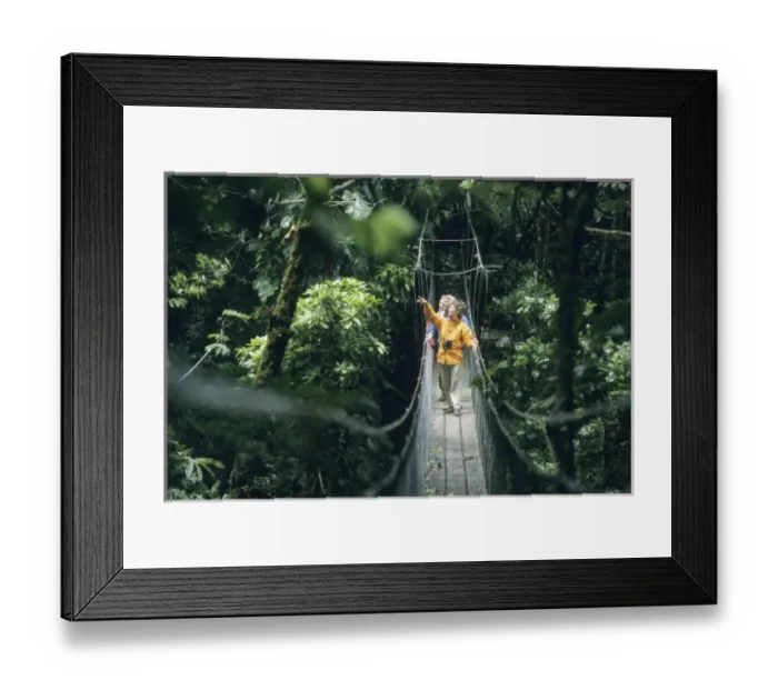 Framed Print : Costa Rica, Monteverde Cloud Forest, people on Sky Walk canopy walkway, MR Framed Print : Costa Rica, Monteverde Cloud Forest, people on Sky Walk canopy walkway, MR