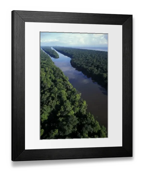 Framed Print : Costa Rica, Tortuguero National Park, Aerial of canals and rainforest Framed Print : Costa Rica, Tortuguero National Park, Aerial of canals and rainforest