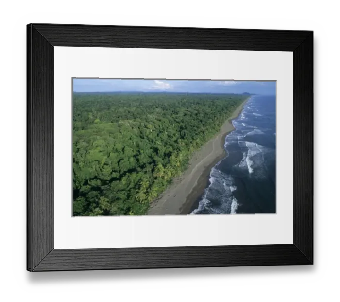 Framed Print : Rainforest and Sea Turtle nesting beach, Tortuguero National Park, Costa Rica Framed Print : Rainforest and Sea Turtle nesting beach, Tortuguero National Park, Costa Rica