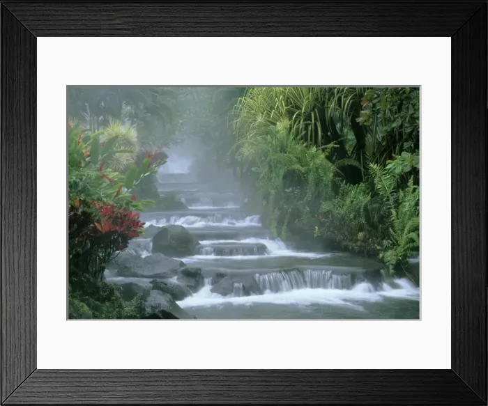Framed Print : Costa Rica, Tabacon Hot Springs, below Arenal Volcano, tropical vegetation along