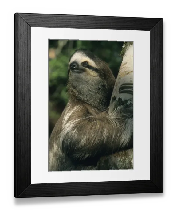 Framed Print : Central America, Costa Rica