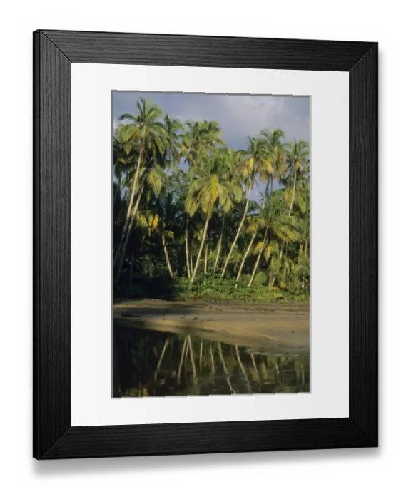 Framed Print : Central America, Costa Rica Framed Print : Central America, Costa Rica