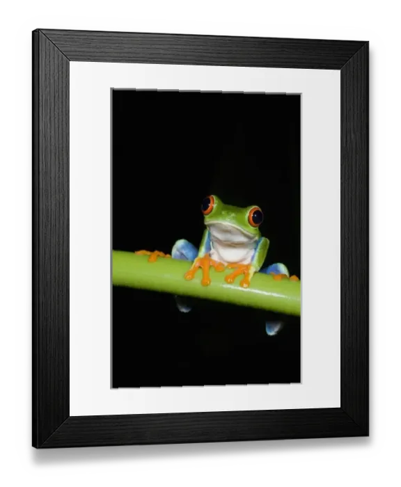 Framed Print : Central America, Costa Rica Framed Print : Central America, Costa Rica