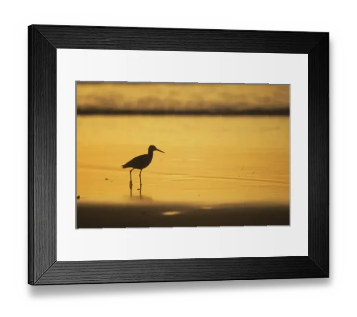 Framed Print : Central America, Costa Rica Framed Print : Central America, Costa Rica