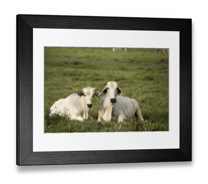 Framed Print : Central America, Costa Rica