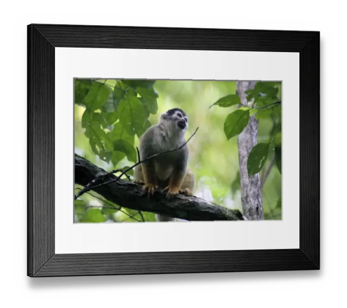 Framed Print : Central America, Costa Rica Framed Print : Central America, Costa Rica