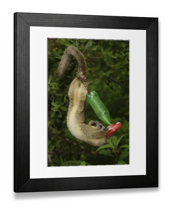 Framed Print : Central America, Costa Rica