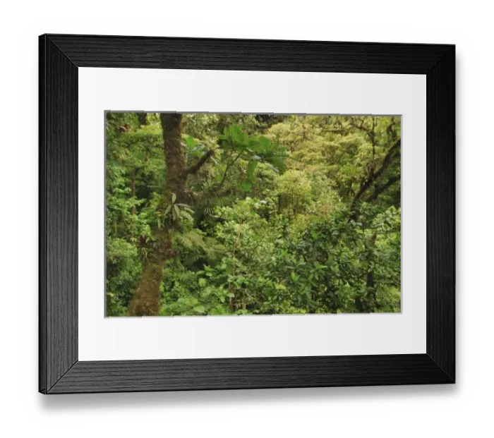 Framed Print : Central America, Costa Rica