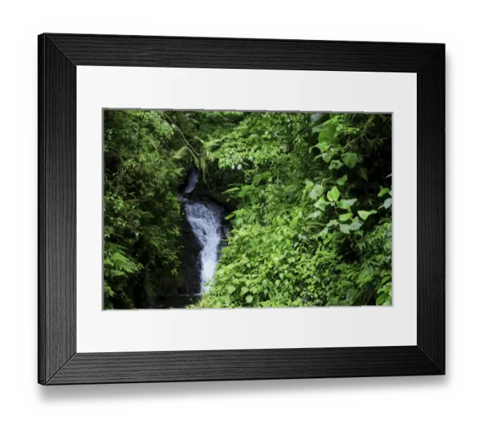 Framed Print : Waterfall, Monteverde Cloud Forest, Costa Rica