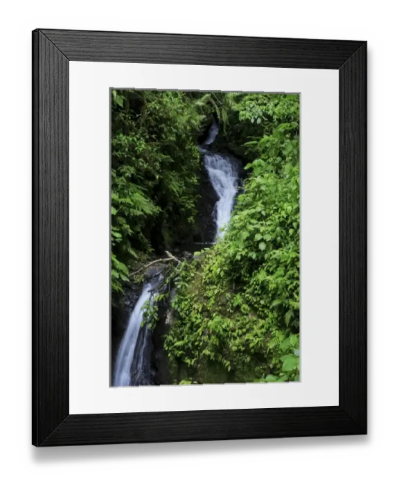Framed Print : Waterfall, Monteverde Cloud Forest, Costa Rica Framed Print : Waterfall, Monteverde Cloud Forest, Costa Rica