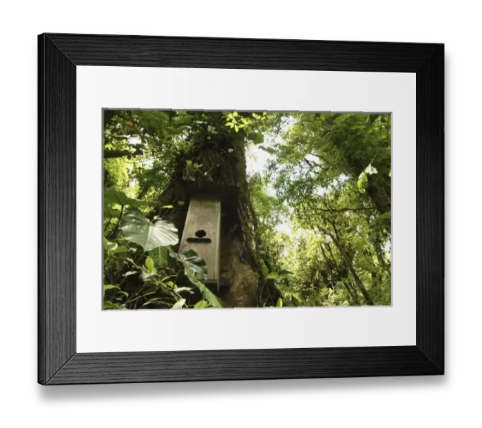 Framed Print : Central America, Costa Rica Framed Print : Central America, Costa Rica