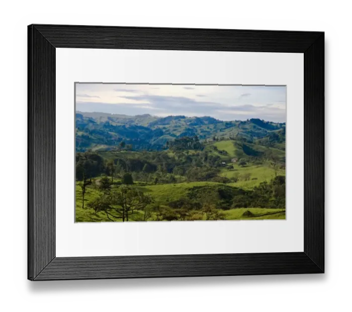 Framed Print : Costa Rica, Los Angeles Cloud Forest Reserve