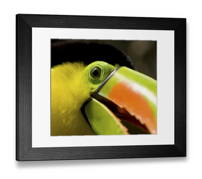 Framed Print : Central America, Costa Rica