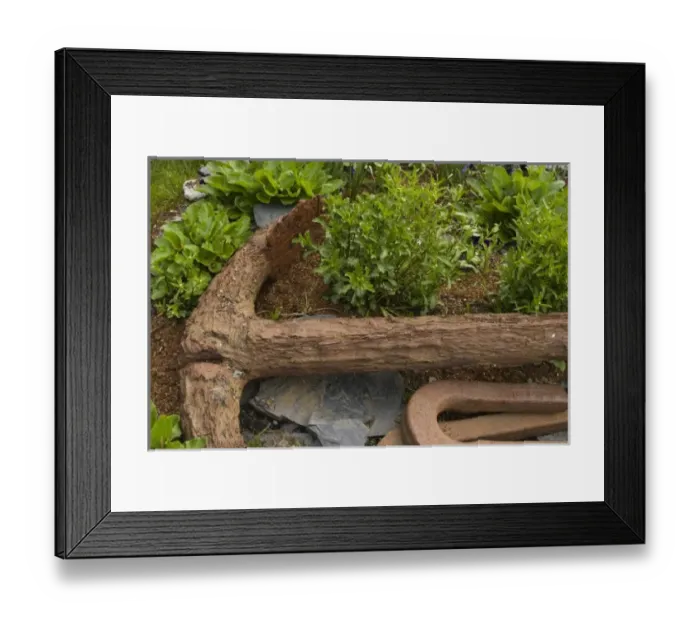 Framed Print : USA, North America, Alaska
