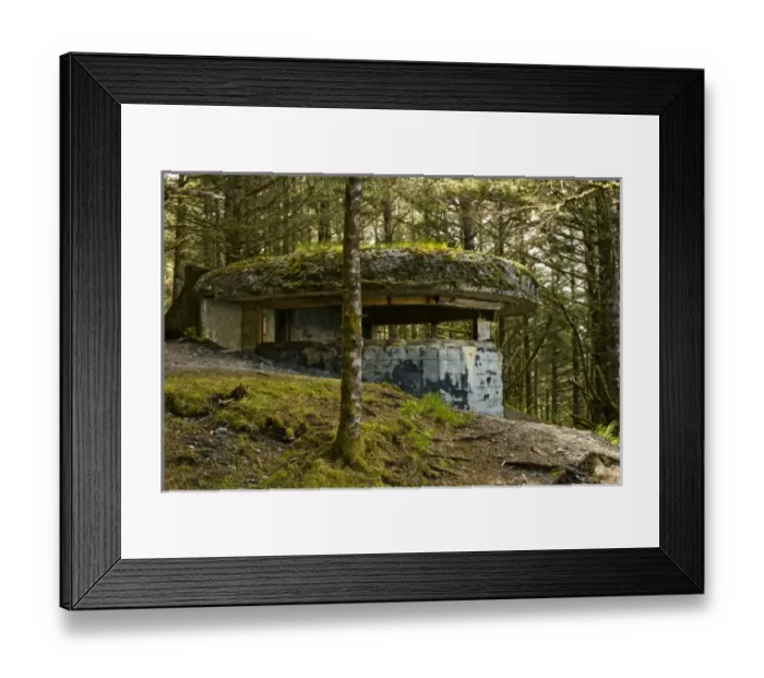 Framed Print : USA, North America, Alaska Framed Print : USA, North America, Alaska